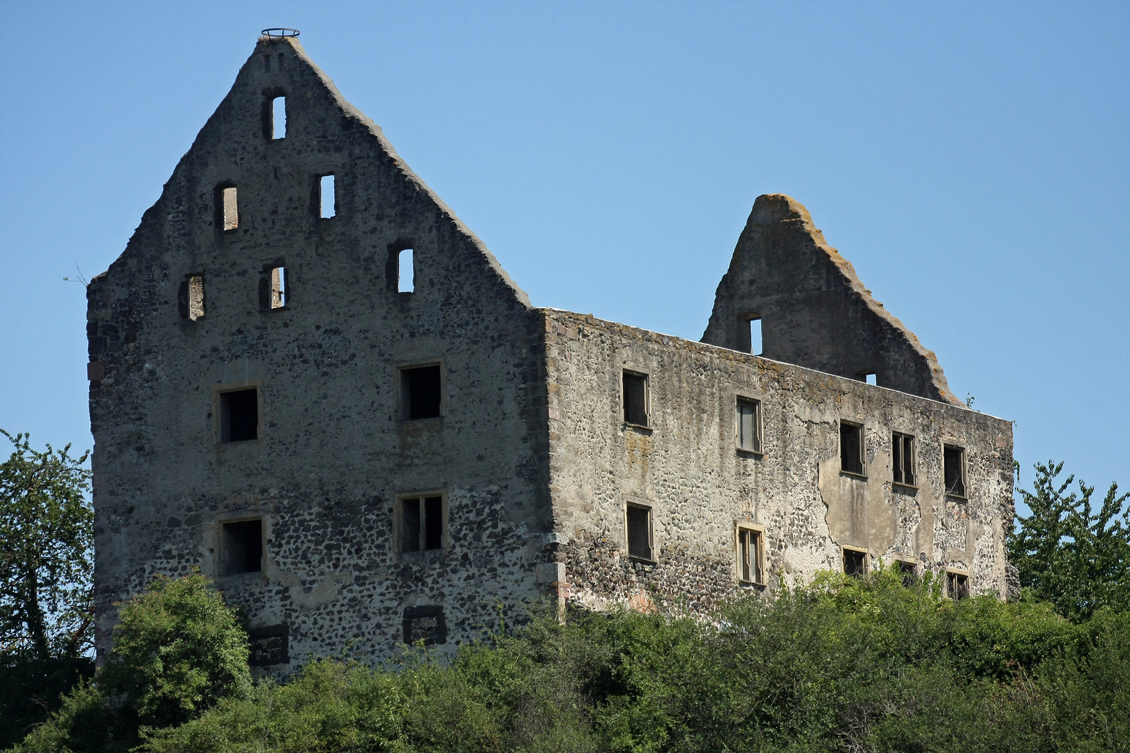 "Burgruine Burkheim am Kaiserstuhl" Ansicht von Hinten- Rheinfahrrad-Tour 9