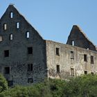 "Burgruine Burkheim am Kaiserstuhl" Ansicht von Hinten- Rheinfahrrad-Tour 9