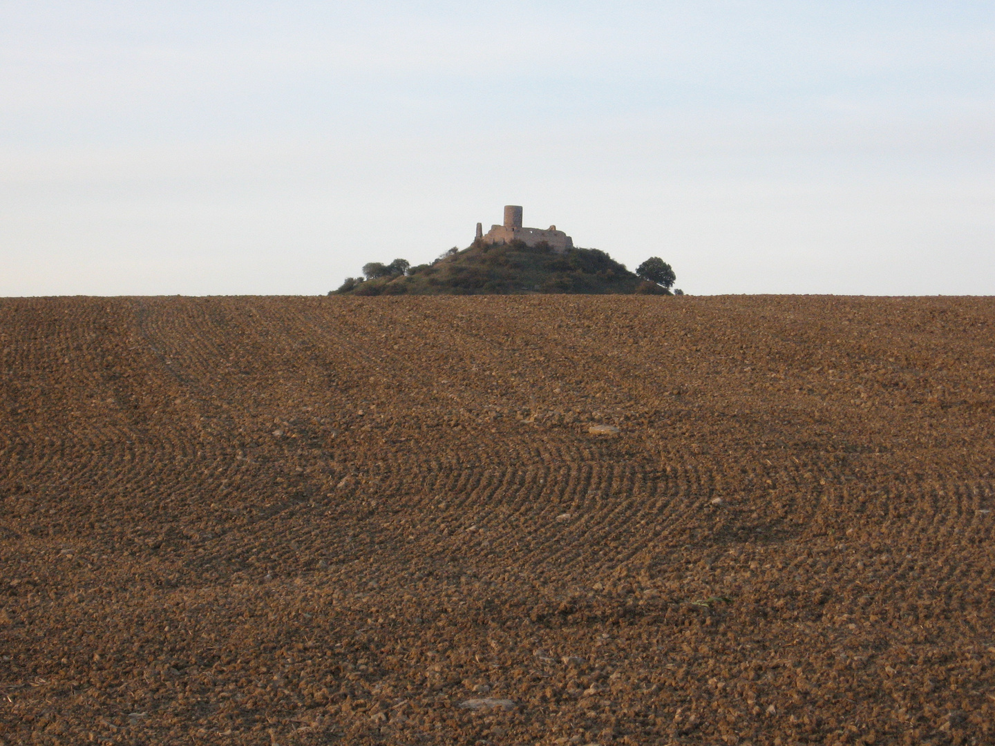 Burgruine Desenberg (2)