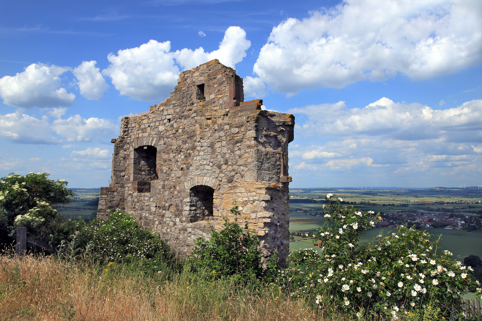 Burgruine Desenburg auf dem Desenberg, Teilansicht