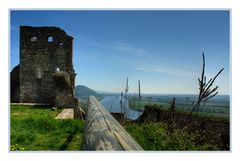 Burgruine Donaustauf 2