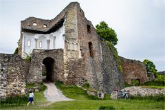 Burgruine Donaustauf (4)