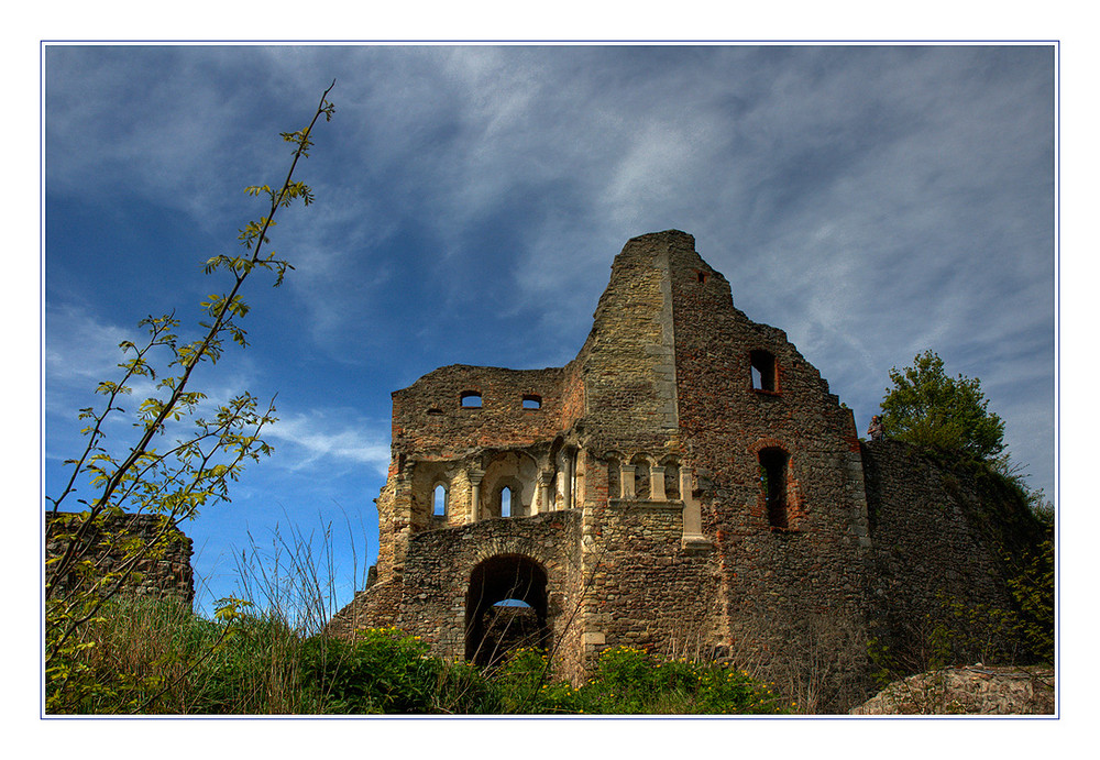 Burgruine Donaustauf