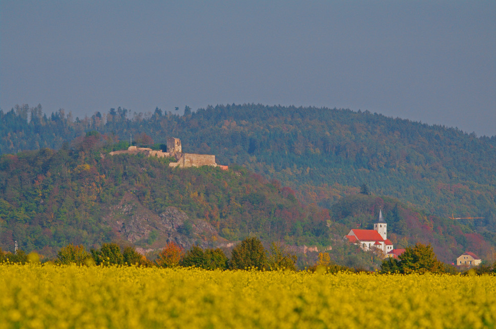 Burgruine Donaustauf