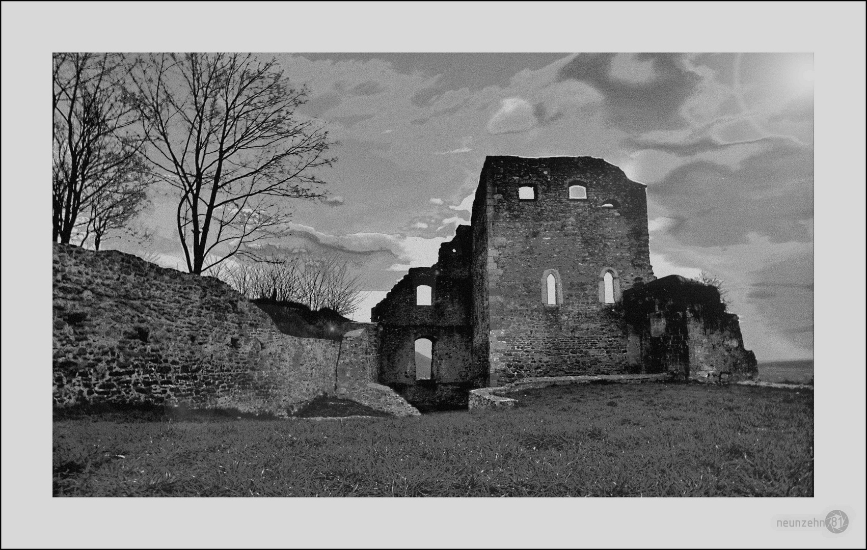 Burgruine Donaustauf Juni 2010