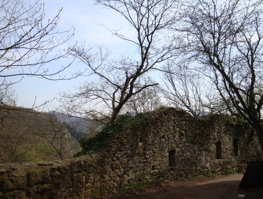 Burgruine Drachenfels