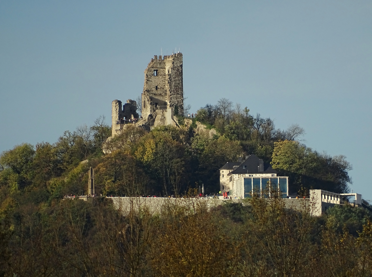 Burgruine Drachenfels im Herbst...