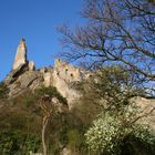 burgruine dürnstein