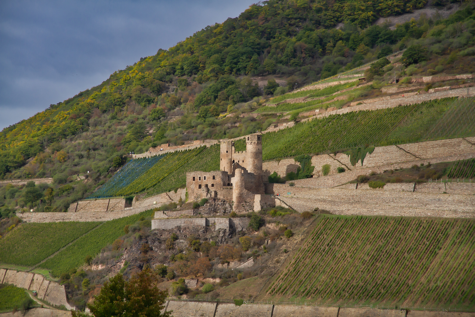 Burgruine Ehrenfels