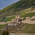 Burgruine Ehrenfels