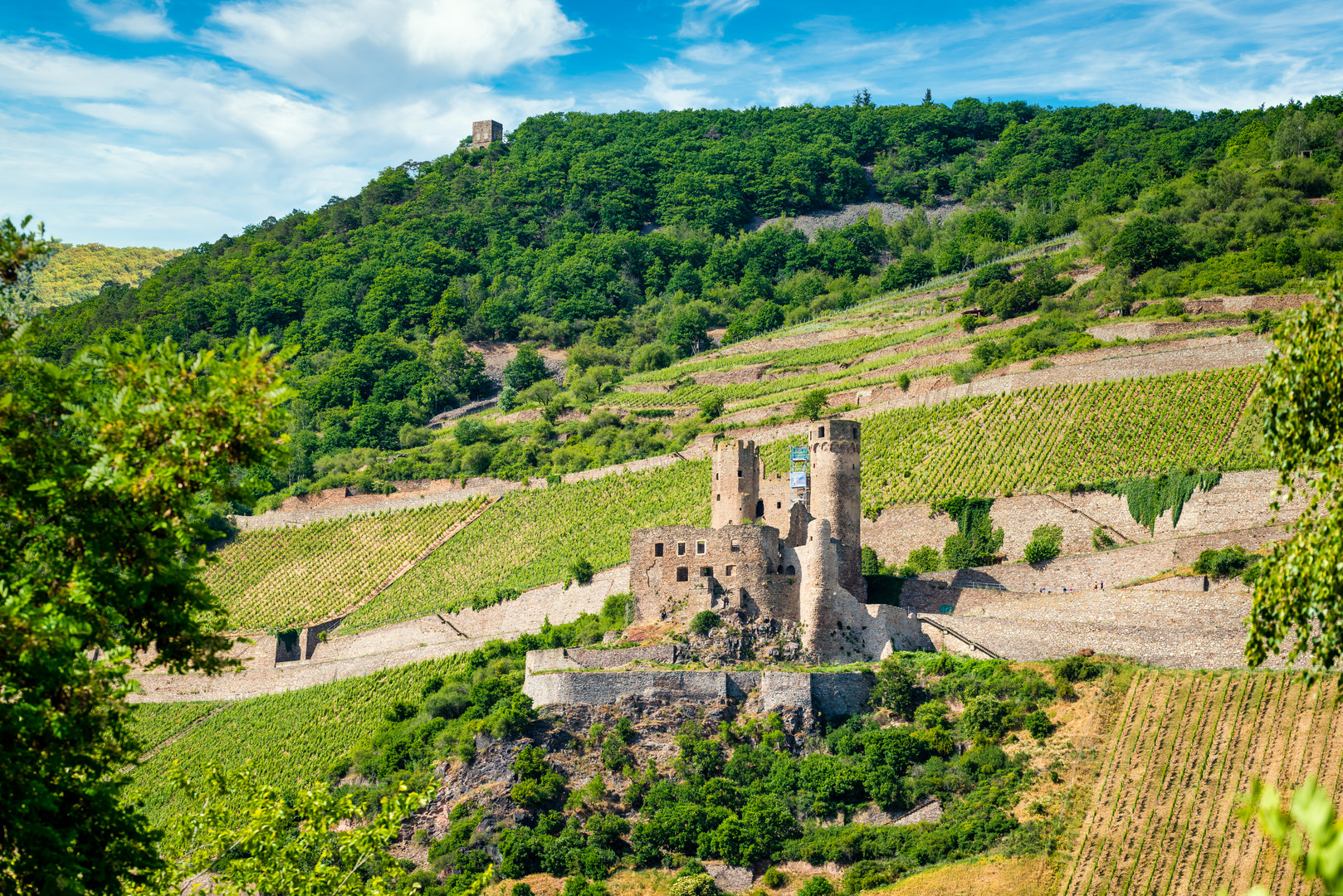 Burgruine Ehrenfels 30