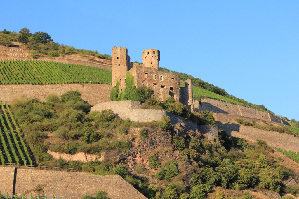 Burgruine Ehrenfels