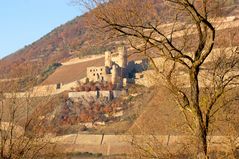 Burgruine Ehrenfels 