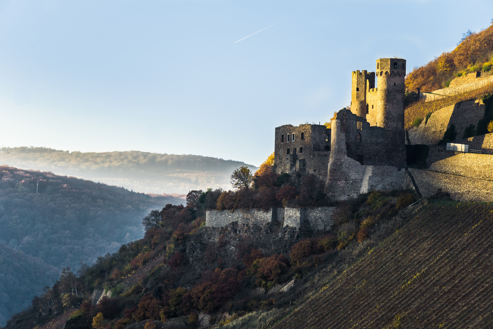 Burgruine Ehrenfels bei Bingen