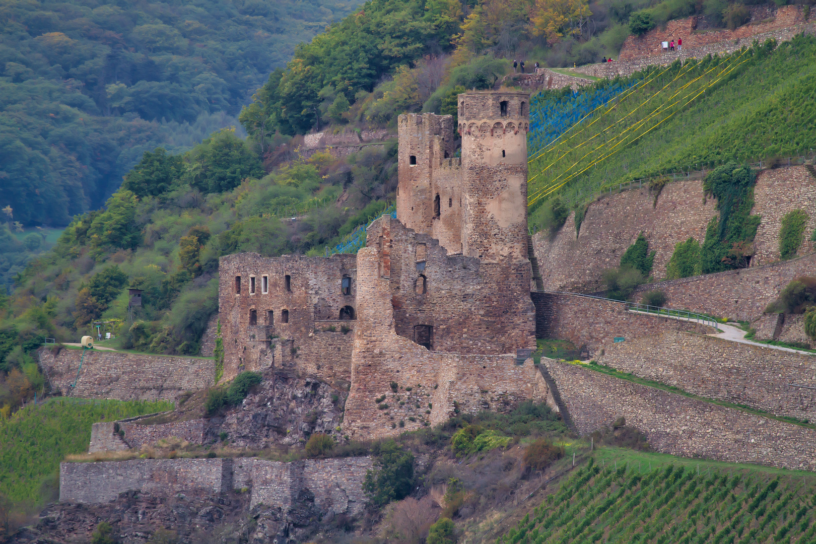 Burgruine Ehrenfels