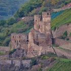 Burgruine Ehrenfels