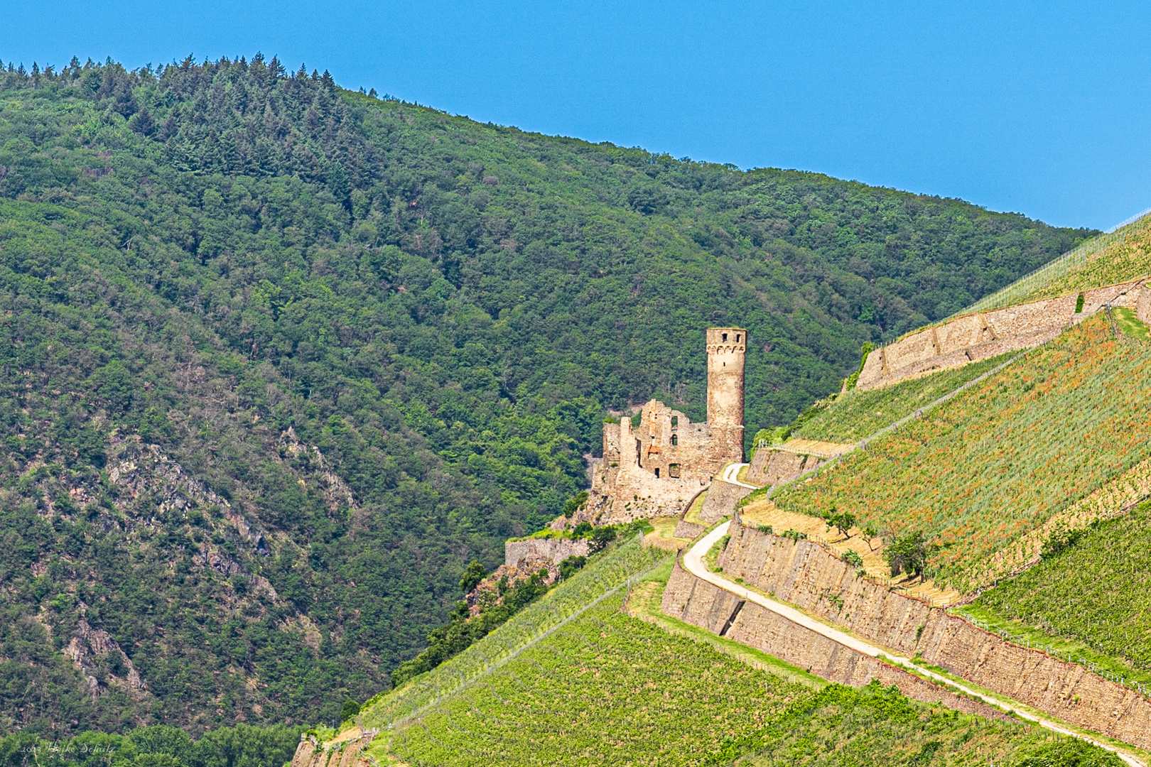 Burgruine Ehrenfels