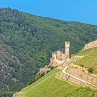 Burgruine Ehrenfels