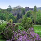 Burgruine Elsterberg