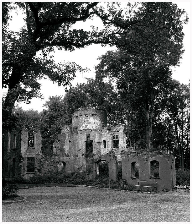 Burgruine Empel