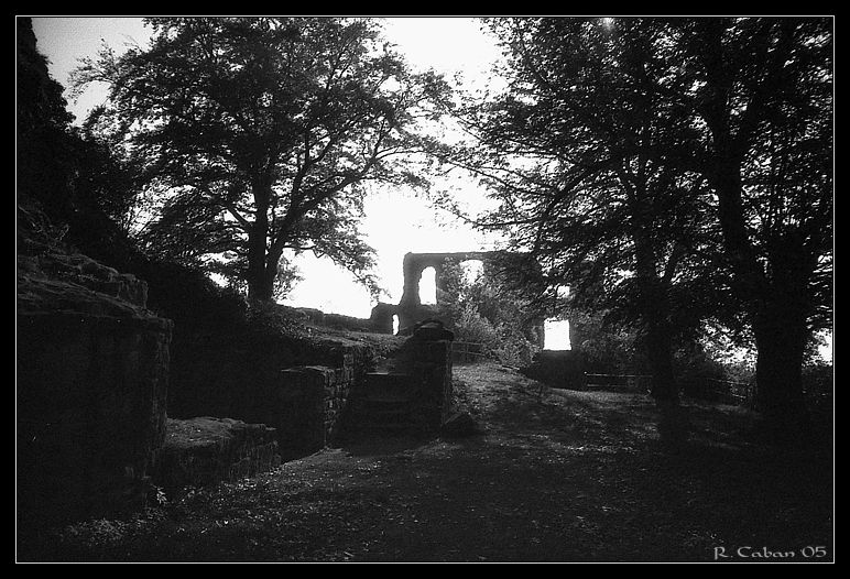 Burgruine Falkenstein