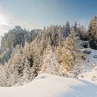 Burgruine Falkenstein