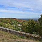 Burgruine Falkenstein (Taunus)