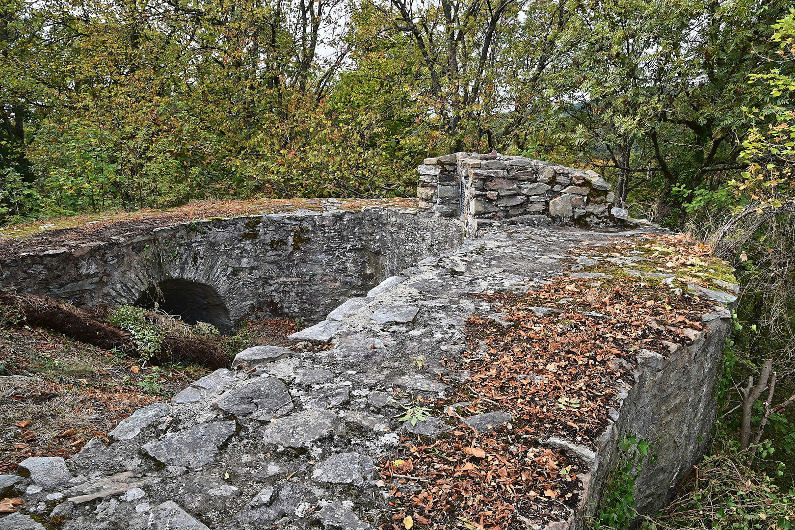 Burgruine Falkenstein (Taunus)