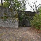 Burgruine Falkenstein (Taunus)