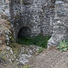 Burgruine Falkenstein (Taunus)