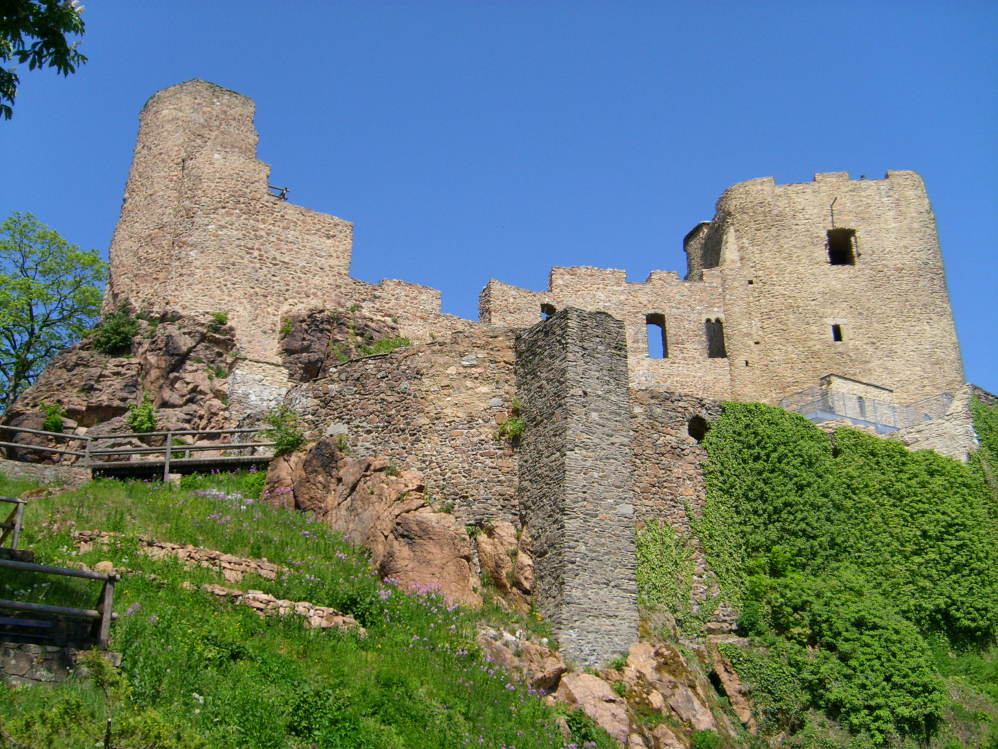 Burgruine Frauenstein