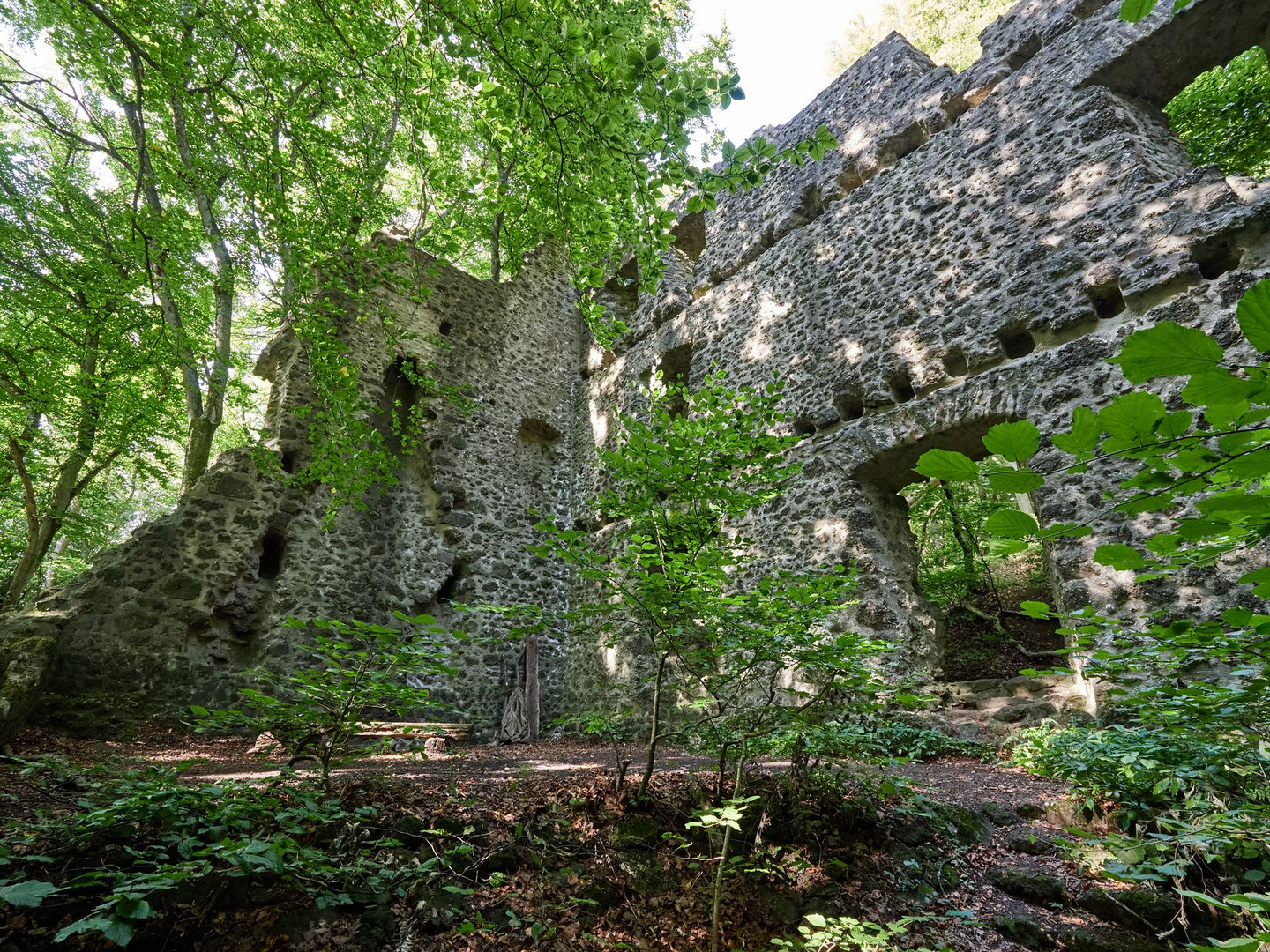 Burgruine Freudenkoppe