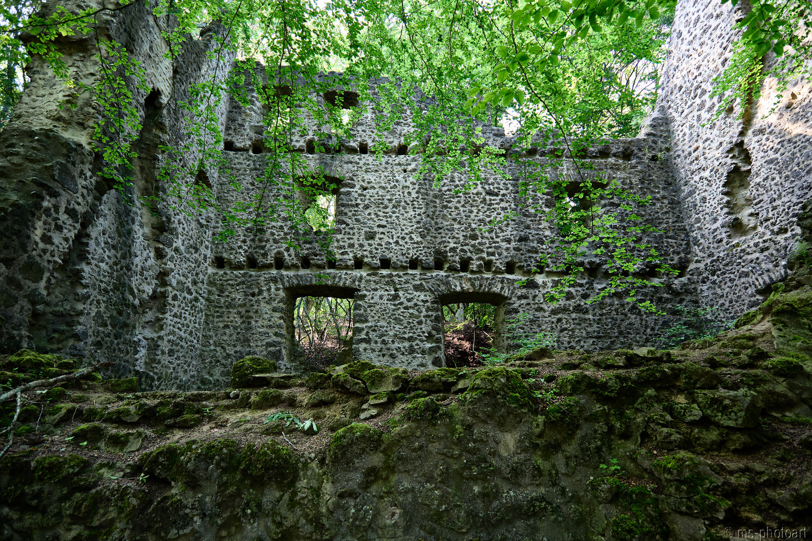 Burgruine Freudenkoppe