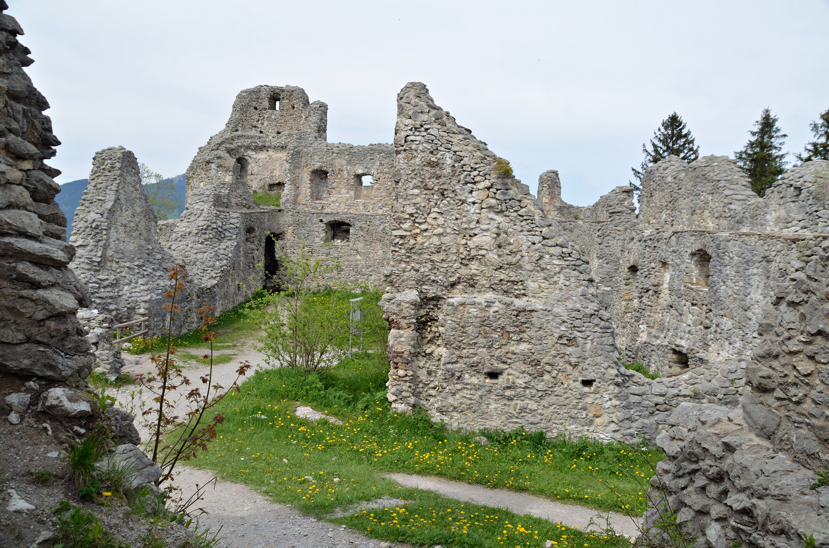 Burgruine Freyberg 