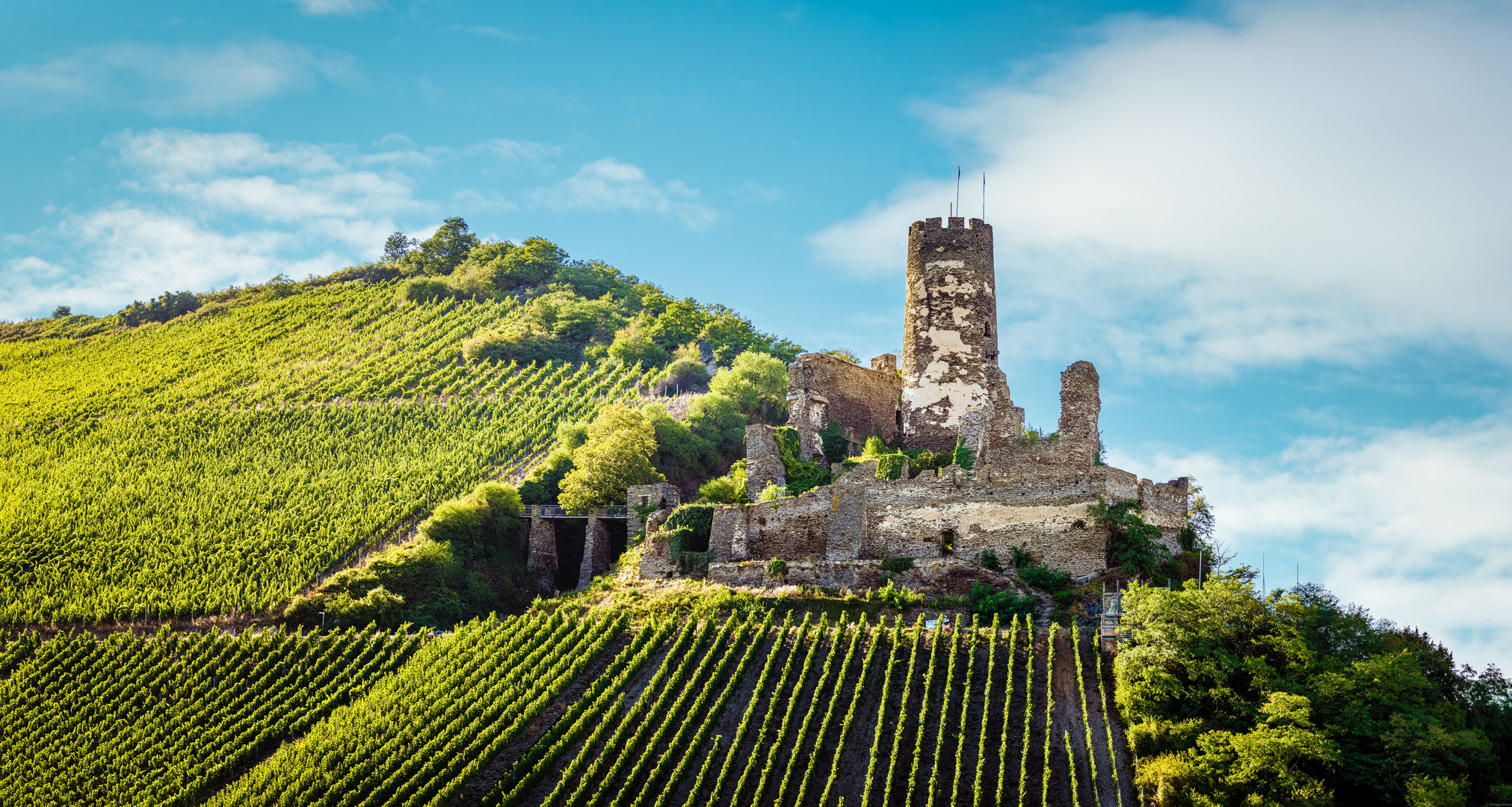 Burgruine Fürstenberg (2)