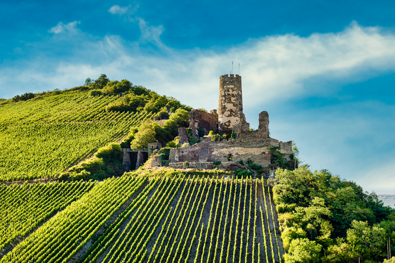 Burgruine Fürstenberg 3