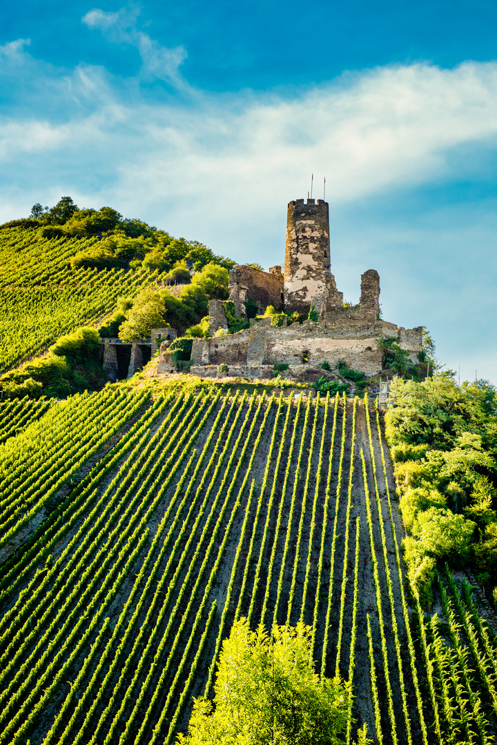 Burgruine Fürstenberg 5