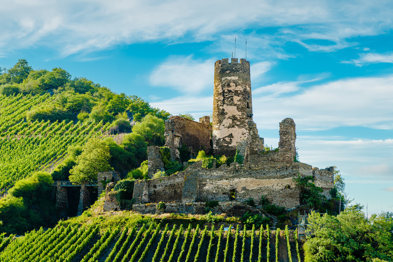 Burgruine Fürstenberg 61