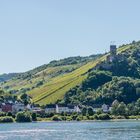 Burgruine Fürstenberg 91