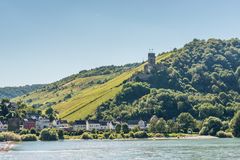 Burgruine Fürstenberg 92