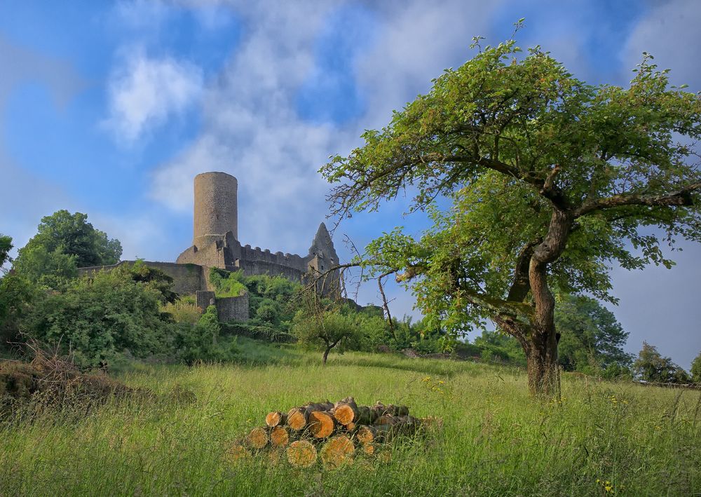 Burgruine Gleiberg