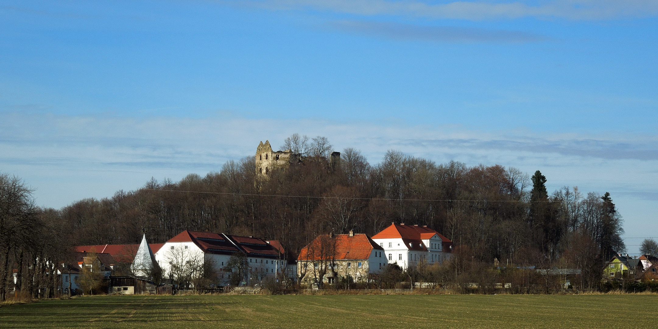 Burgruine Greiffenstein (12 Jh)