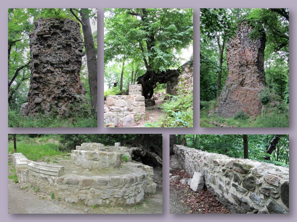 Burgruine Große Lauenburg im Harz 2