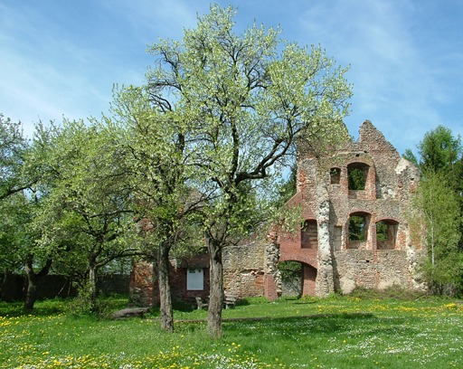 Burgruine Haibach