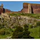 Burgruine Hammerhus