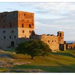 Burgruine Hammershus auf Bornholm