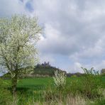 ... Burgruine Hanstein ...