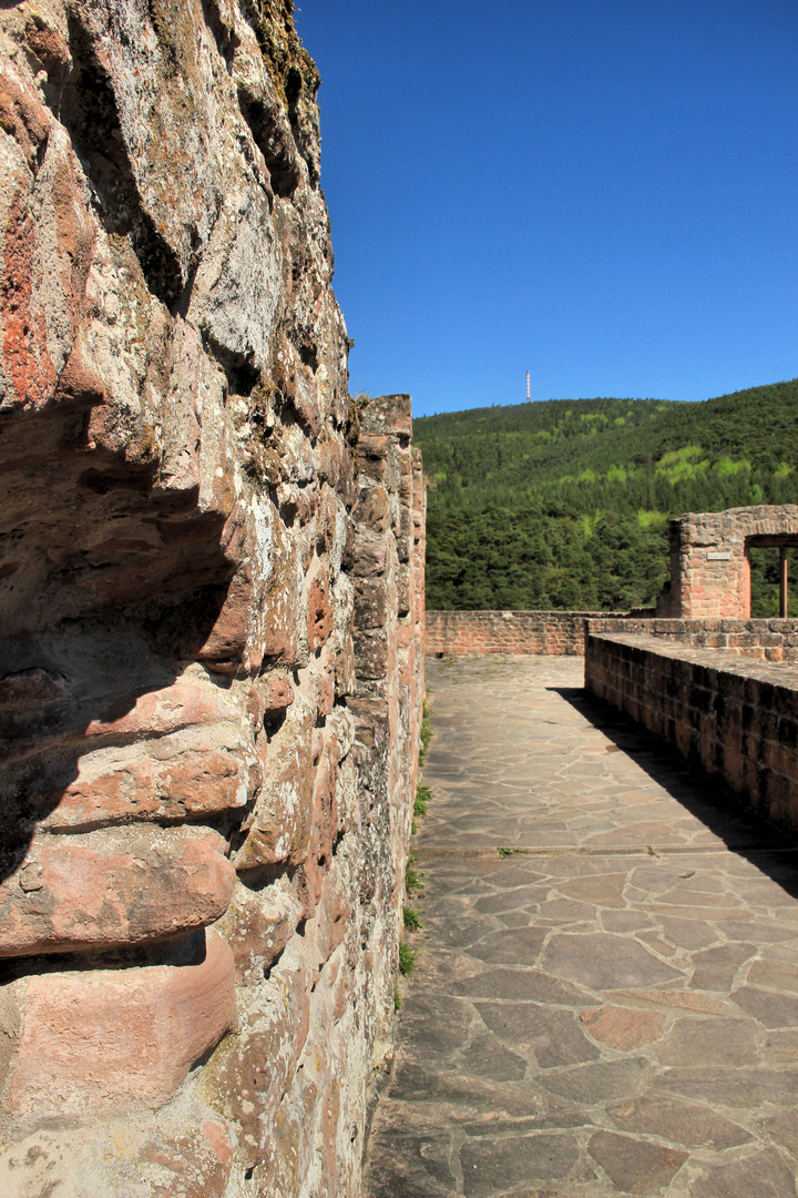 Burgruine Hardenburg