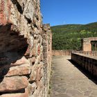 Burgruine Hardenburg