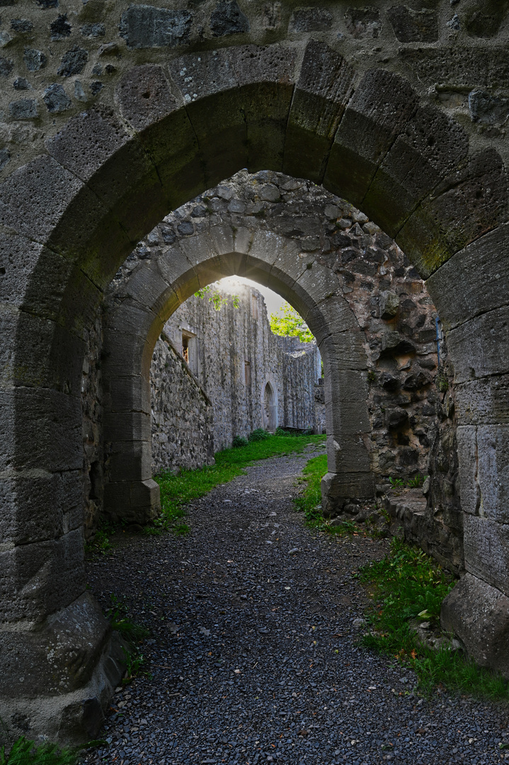 Burgruine Hauneck Stoppelsberg